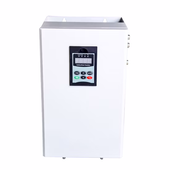 Scaldabagno a induzione elettromagnetica 5KW-15KW-220V per stanza a pavimento